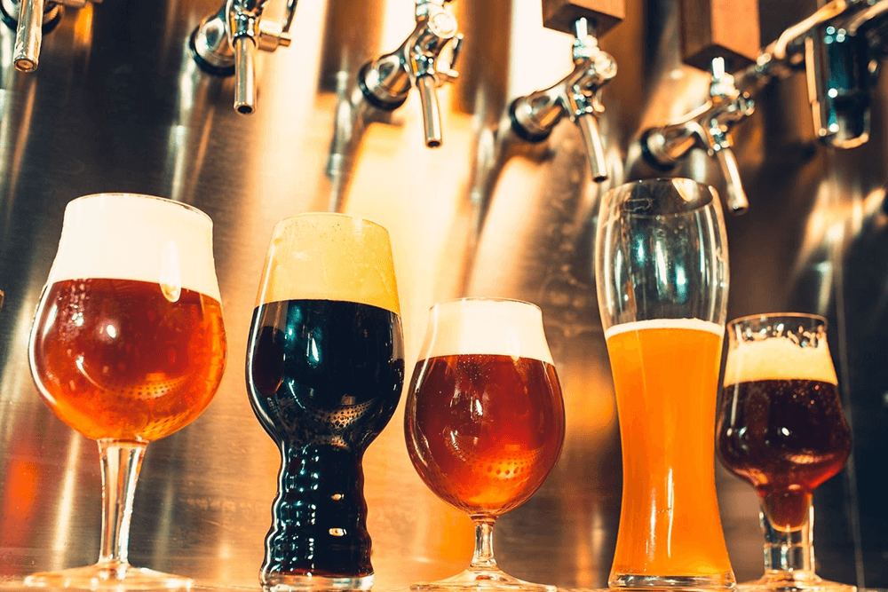 A variety of beer glasses filled with different styles of beer lined up against a metallic backdrop.